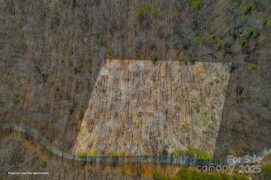 00 Champagne Ridge, Lake Lure, NC 28746 - Image #3