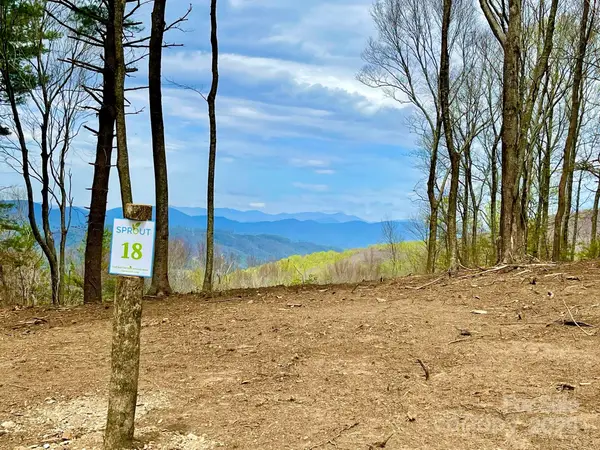 TBD East Garden Trail #18, Hendersonville, NC 28792