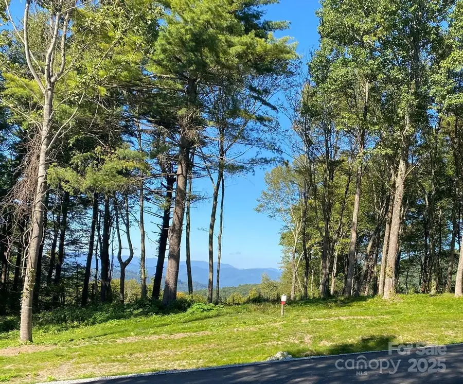 TBD East Garden Trail #18, Hendersonville, NC 28792 - Image #3