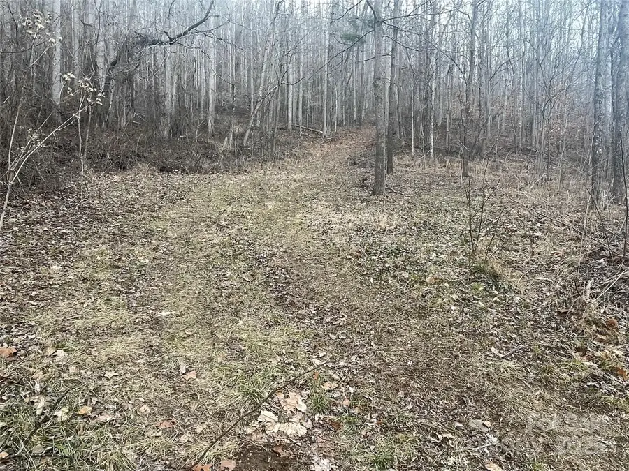 000 Martins Creek Road, Barnardsville, NC 28709 - Image #2