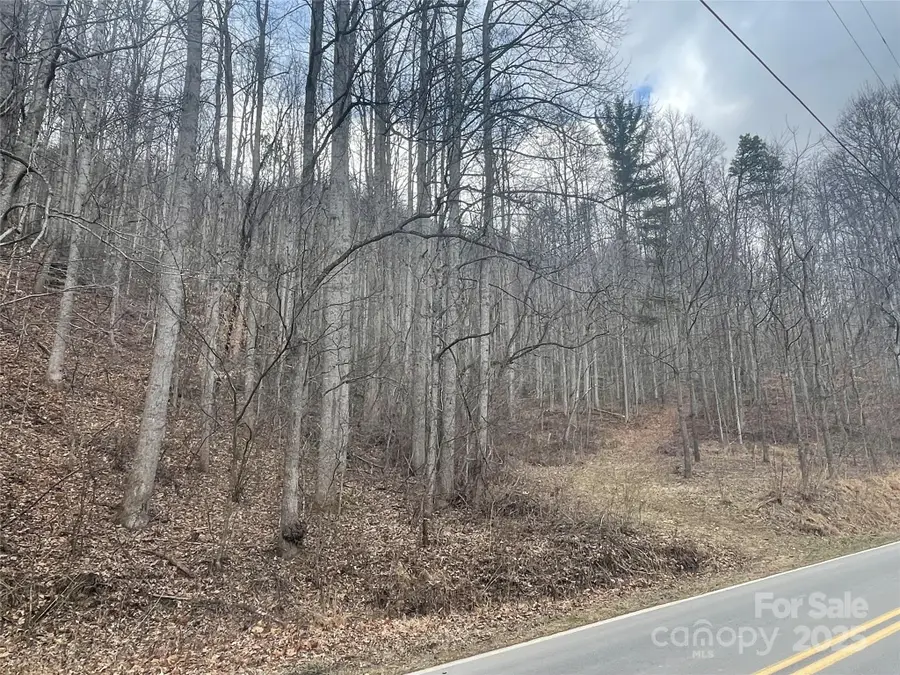 000 Martins Creek Road, Barnardsville, NC 28709 - Image #3