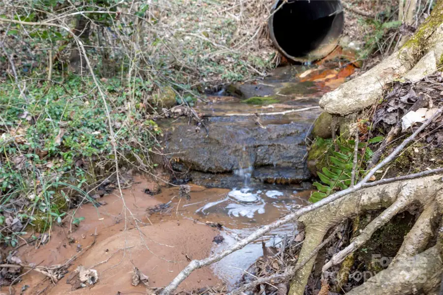 6285 Nc Hwy 16 None N, Taylorsville, NC 28681 - Image #2