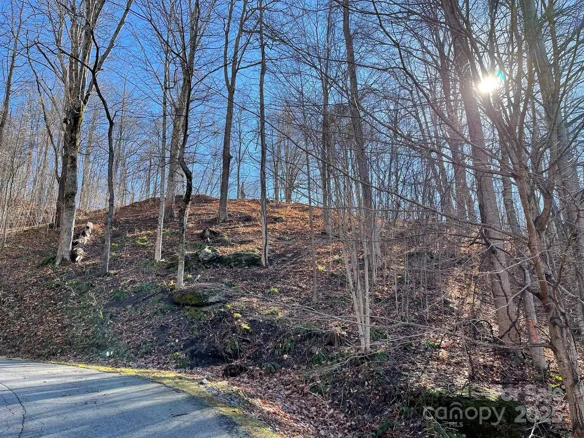 00 Weatherwatch Lane #48, Waynesville, NC 28786 - Image #1