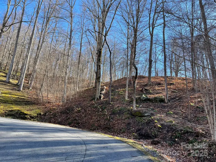 00 Weatherwatch Lane #48, Waynesville, NC 28786 - Image #2