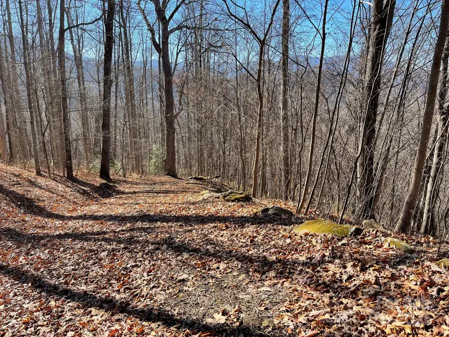 00 Weatherwatch Lane #48, Waynesville, NC 28786 - Image #3