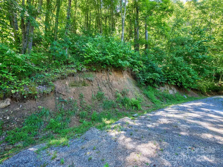 00 Yellow Locust Drive, Waynesville, NC 28786 - Image #2