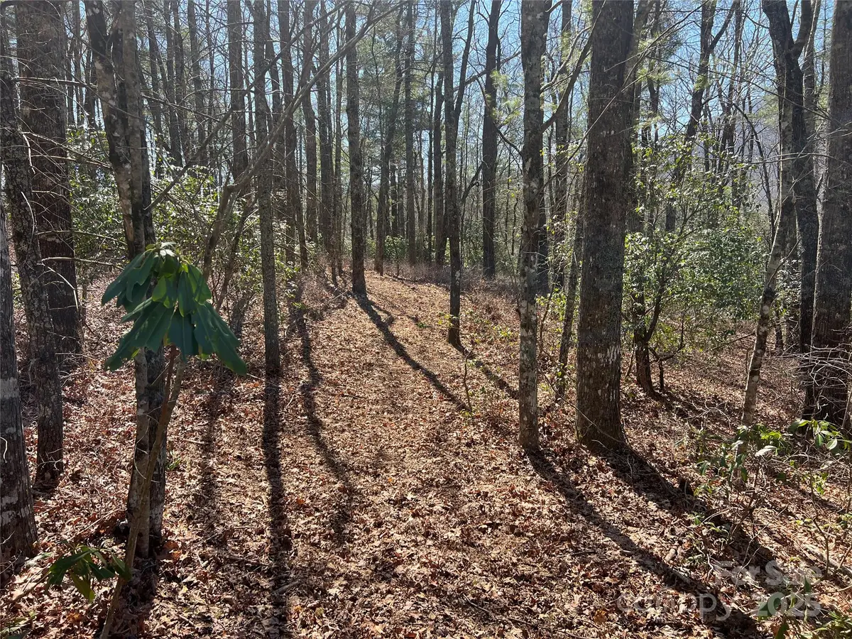 TBD Panther Ridge Road, Lake Toxaway, NC 28747 - Image #1