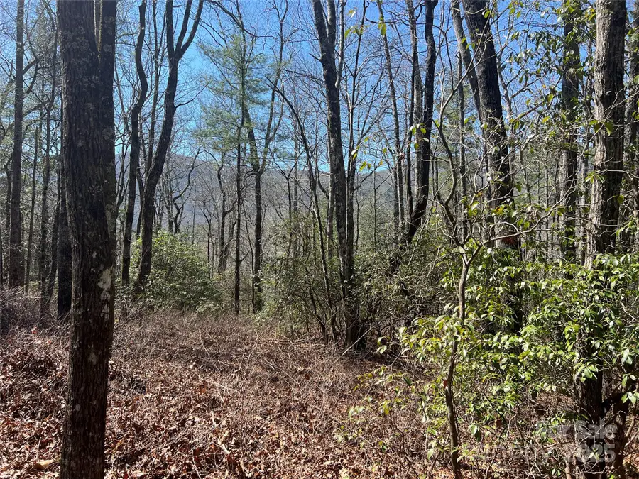 TBD Panther Ridge Road, Lake Toxaway, NC 28747 - Image #3