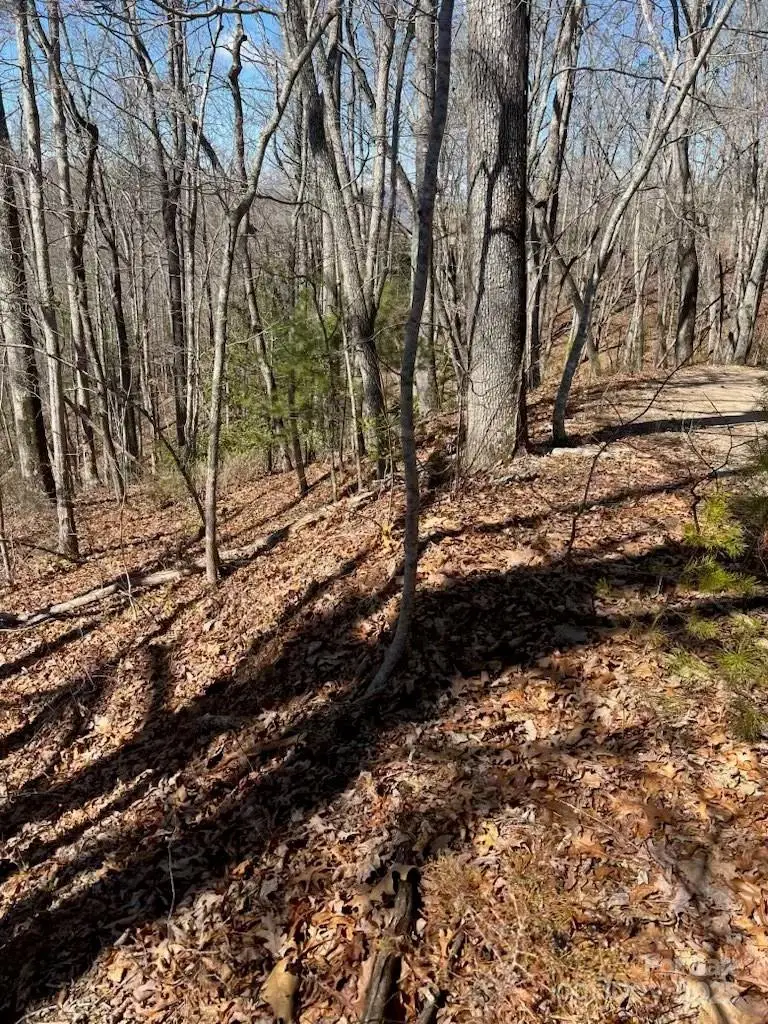 00 Timberland Trail, Franklin, NC 28734 - Image #3