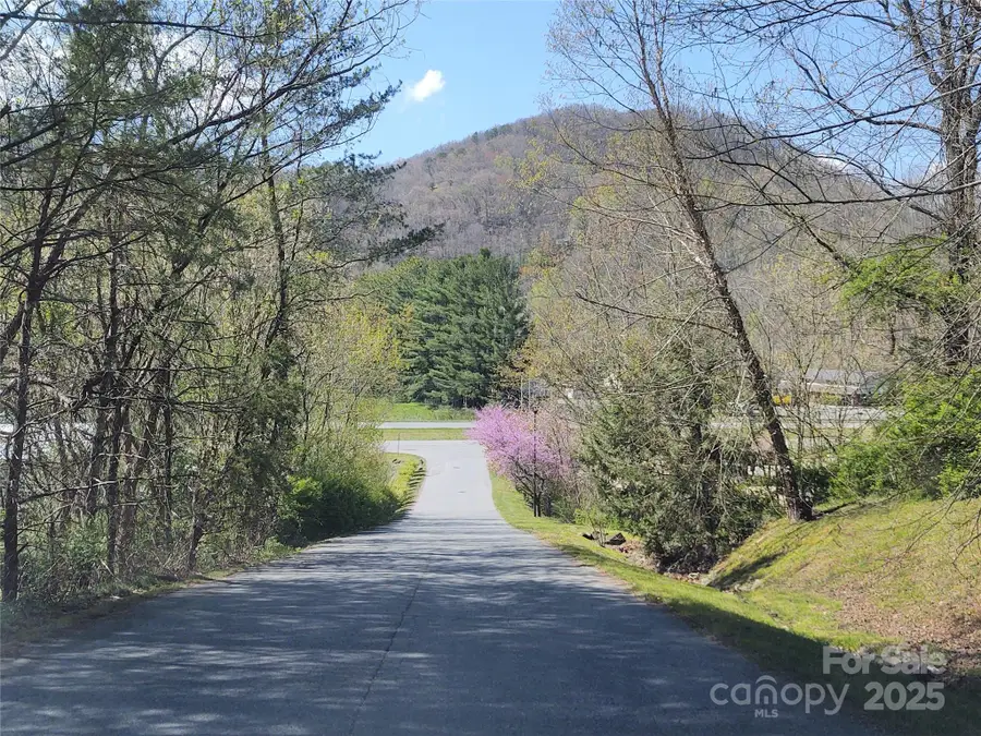 00 Tanner Trail, Waynesville, NC 28785 - Image #2