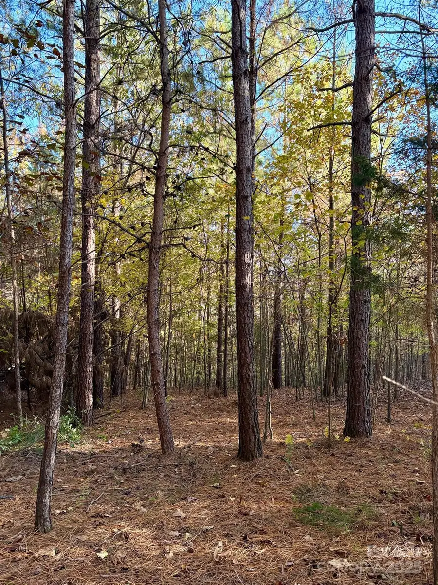 0 Cross Creek Drive #261, Rutherfordton, NC 28139 - Image #2