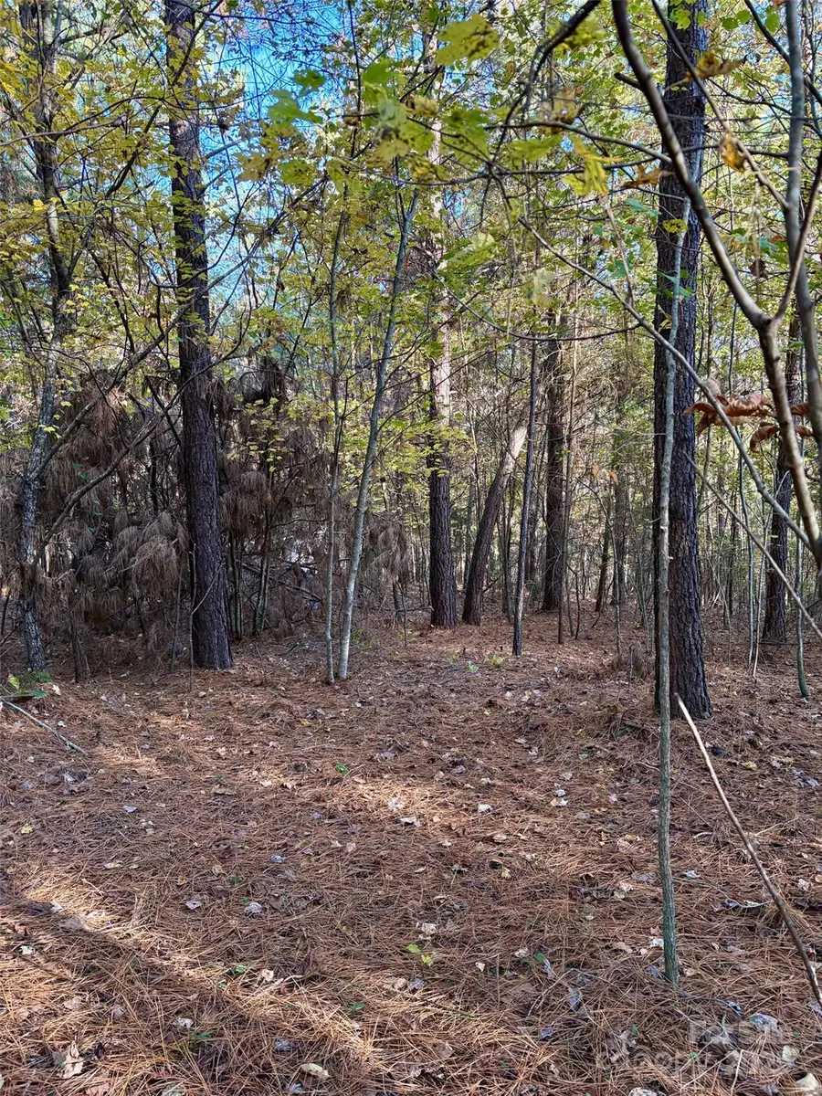 0 Cross Creek Drive #261, Rutherfordton, NC 28139 - Image #3