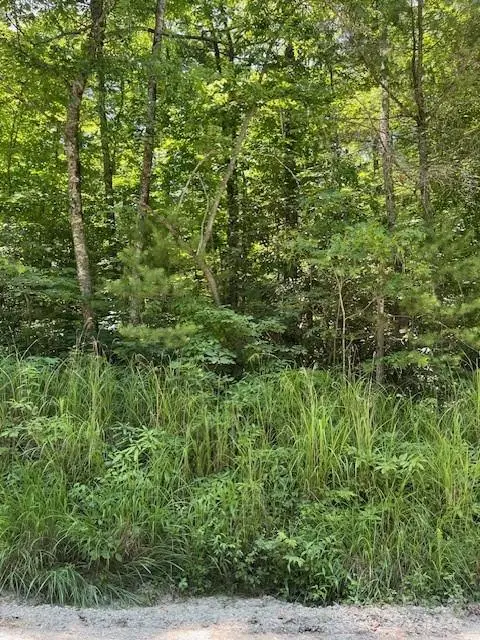 0 Pleasant Grove Church Road #3A, Hendersonville, NC 28792 - Image #2