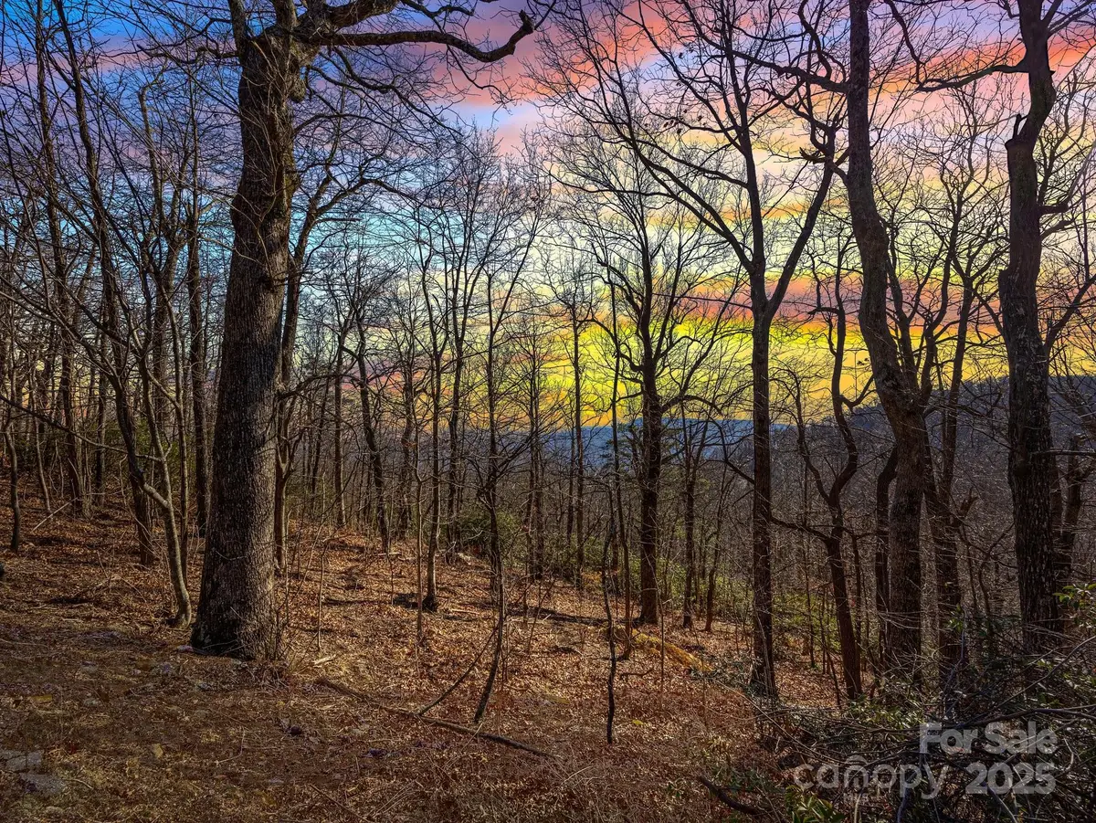 00 Morning Ride Drive #36, Columbus, NC 28722 - Image #1