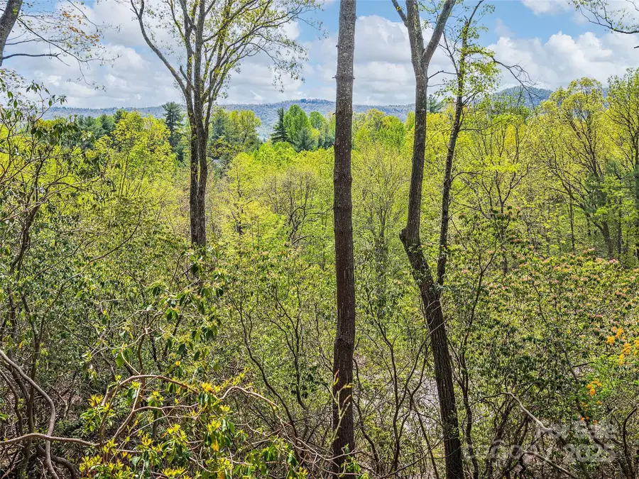 Lot #56 Winterberry Drive, Hendersonville, NC 28739 - #2