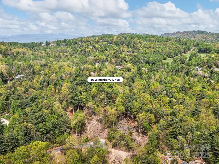 Lot #56 Winterberry Drive, Hendersonville, NC 28739 - #3