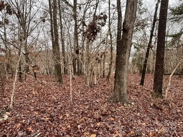 0 Church Road #551, New London, NC 28127