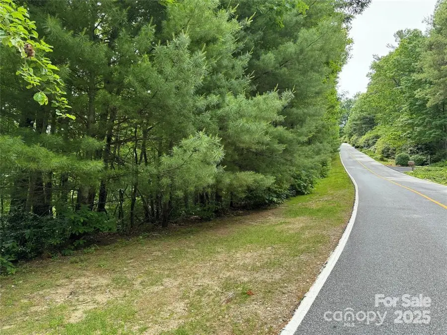 360 Kenmure Drive, Flat Rock, NC 28731 - Image #2