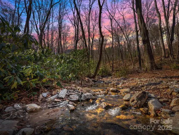 000 Stafford Lane S #2065, Mill Spring, NC 28756