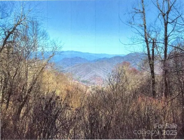 33 Butterfly Path #33, Bryson City, NC 28713