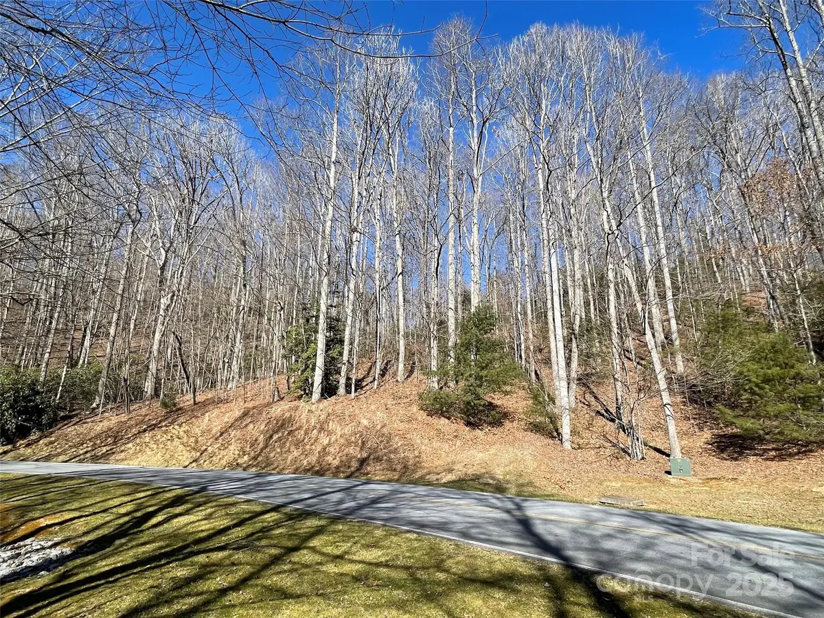 00 Chattooga Run #292R, Hendersonville, NC 28739 - Image #1