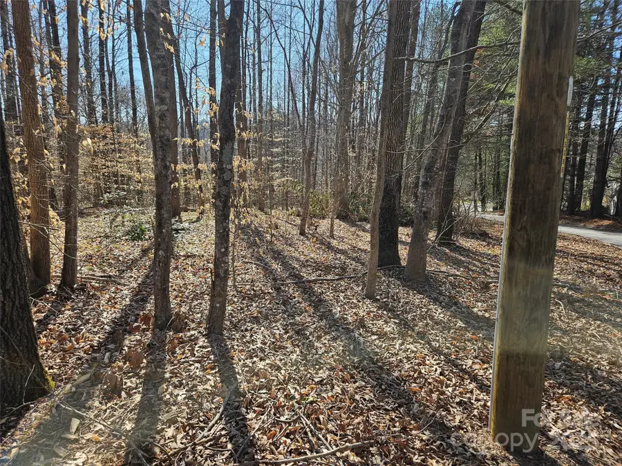 0 General Griffith Circle #35 & 37, Rutherfordton, NC 28139 - Image #2