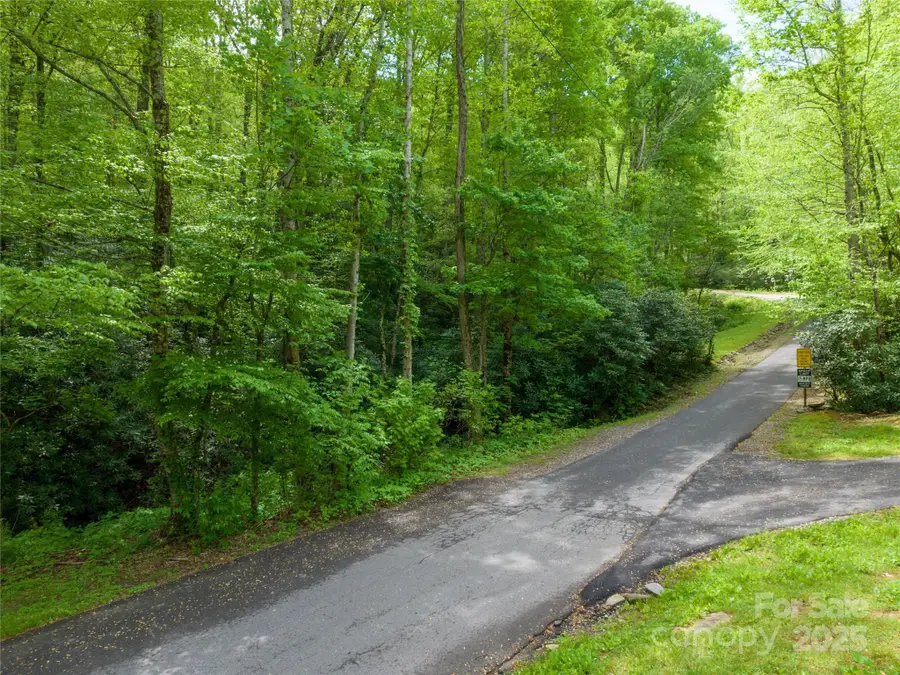 99999 Holland Drive #Lot 25, Black Mountain, NC 28711 - Image #2