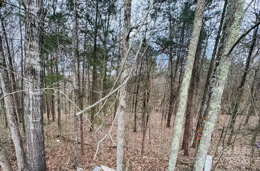 13407 Circle Drive #40, Charlotte, NC 28262 - Image #2