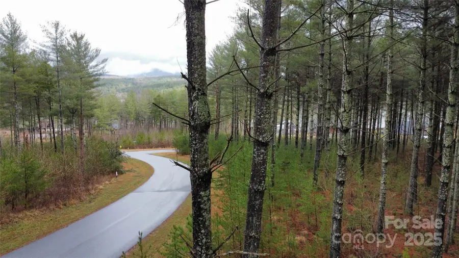 26 Peninsula Reserve Road #26, Nebo, NC 28761 - Image #3