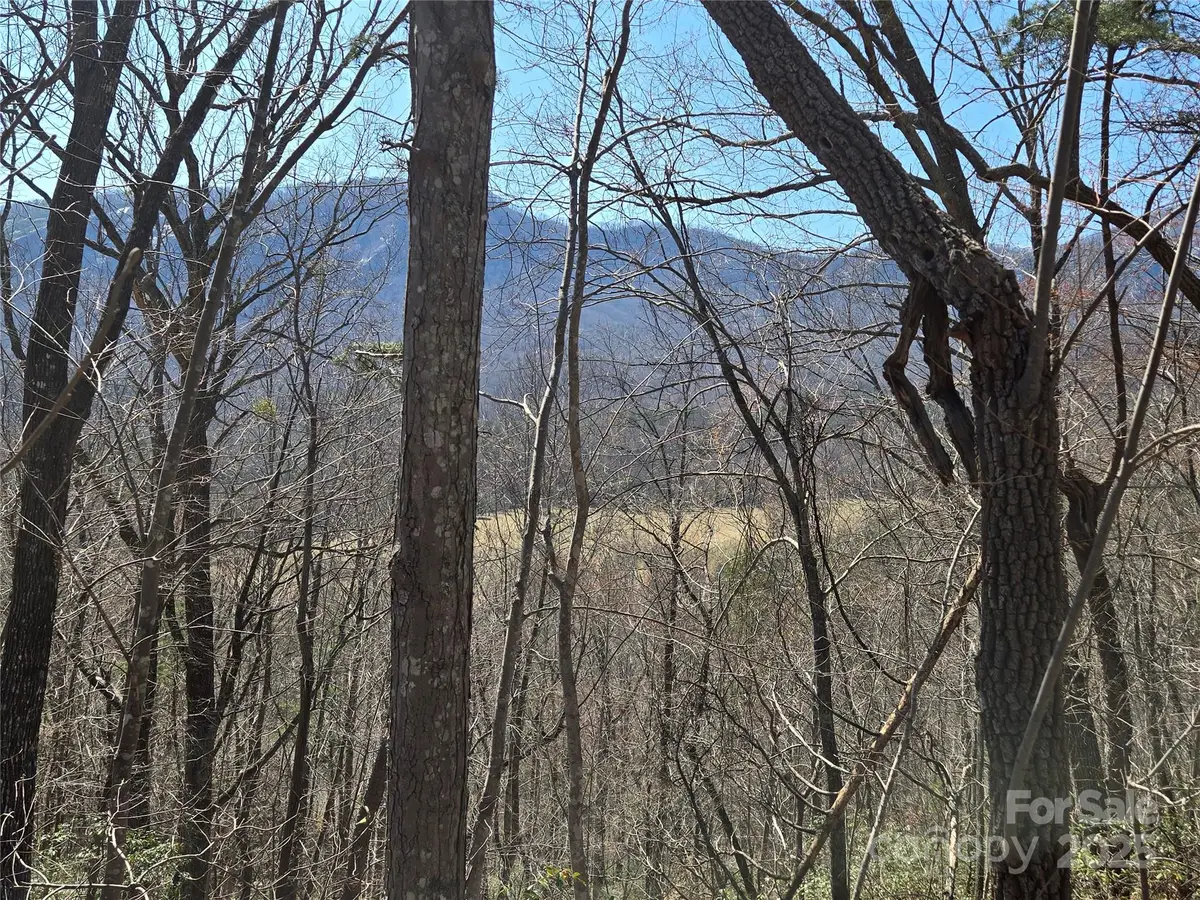 Lot 57 Banjo Court, Lake Lure, NC 28746 - Image #1