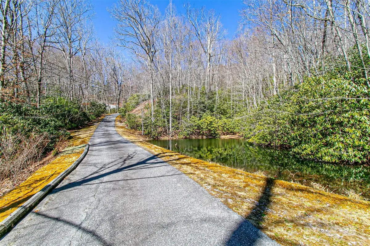TBD Still Branch Road #L20, Brevard, NC 28712 - Image #1
