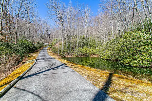 TBD Still Branch Road #L20, Brevard, NC 28712