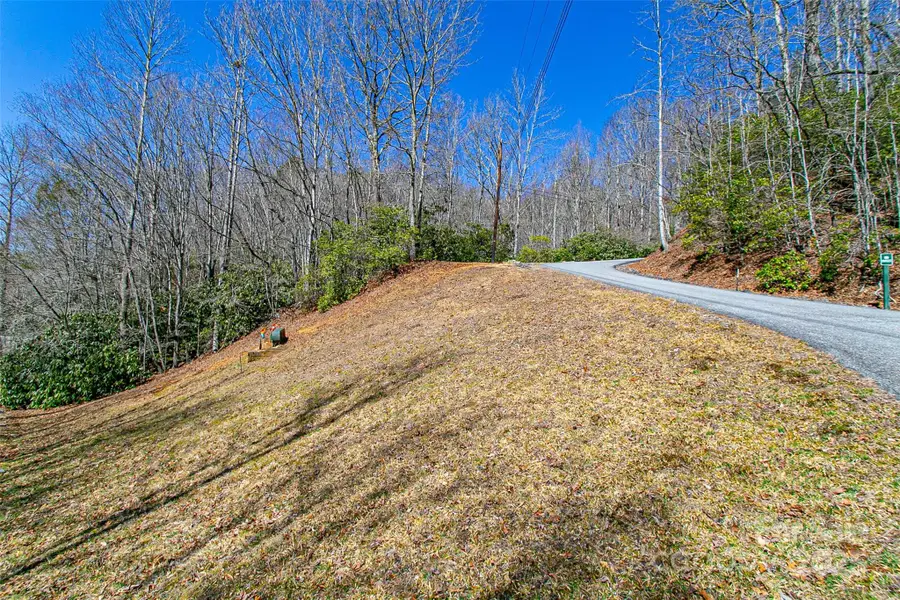TBD Still Branch Road #L20, Brevard, NC 28712 - Image #2