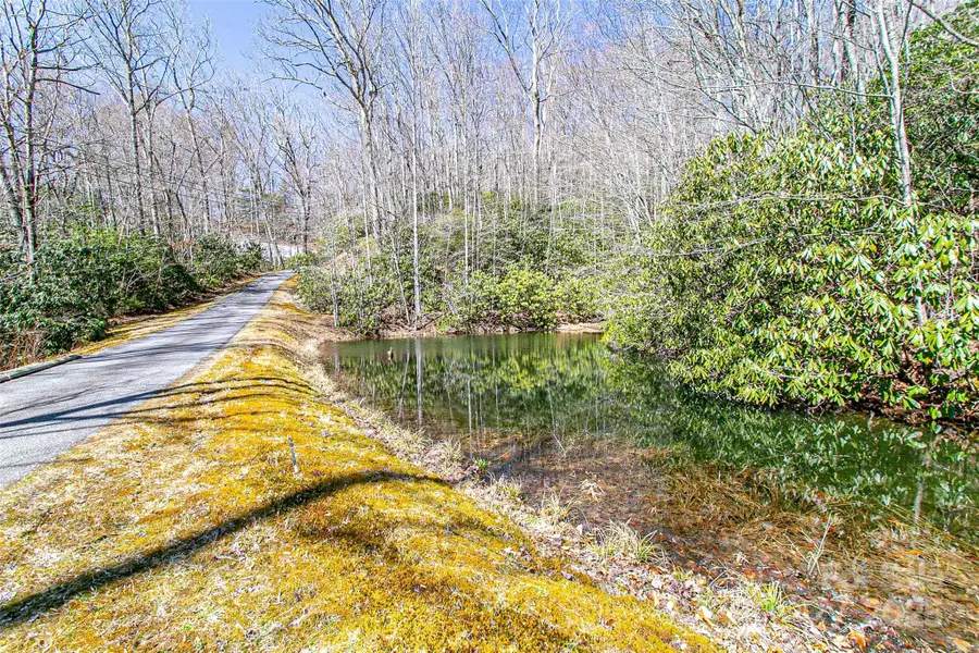TBD Still Branch Road #L20, Brevard, NC 28712 - Image #3