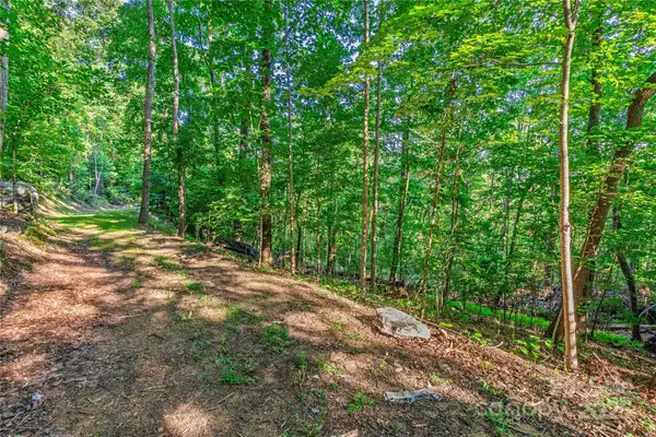 Lot W13 Curtain Bluff, Hendersonville, NC 28791