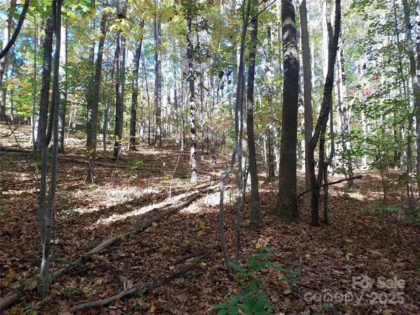 5 Acres Blue Ridge Trail, Columbus, NC 28722