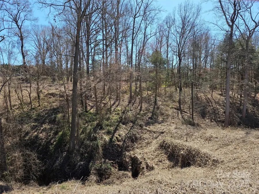 1110 Clark Hill Drive, Belmont, NC 28012 - Image #3