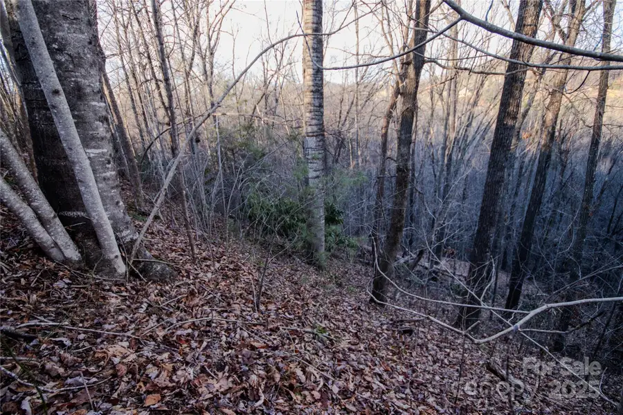 Lot# 22 Autumn Ridge #22, Lenoir, NC 28645 - Image #3