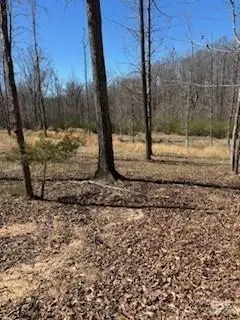 1639 +1643 Mallard Bay Drive #17 & 18, York, SC 29745 - #2