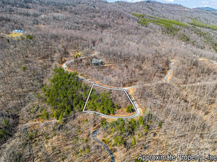 190 Cherry Hill None, Mill Spring, NC 28756 - Image #2