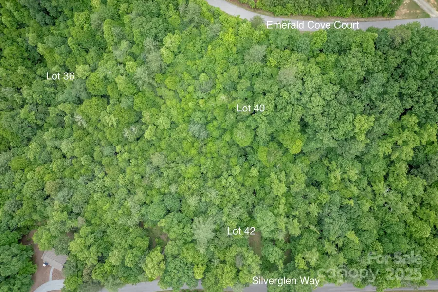 315 Silverglen Way, Hendersonville, NC 28792 - Image #2