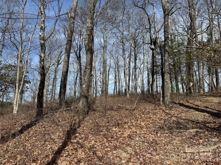L4 Windy Gap Lane, Sapphire, NC 28774 - Image #3