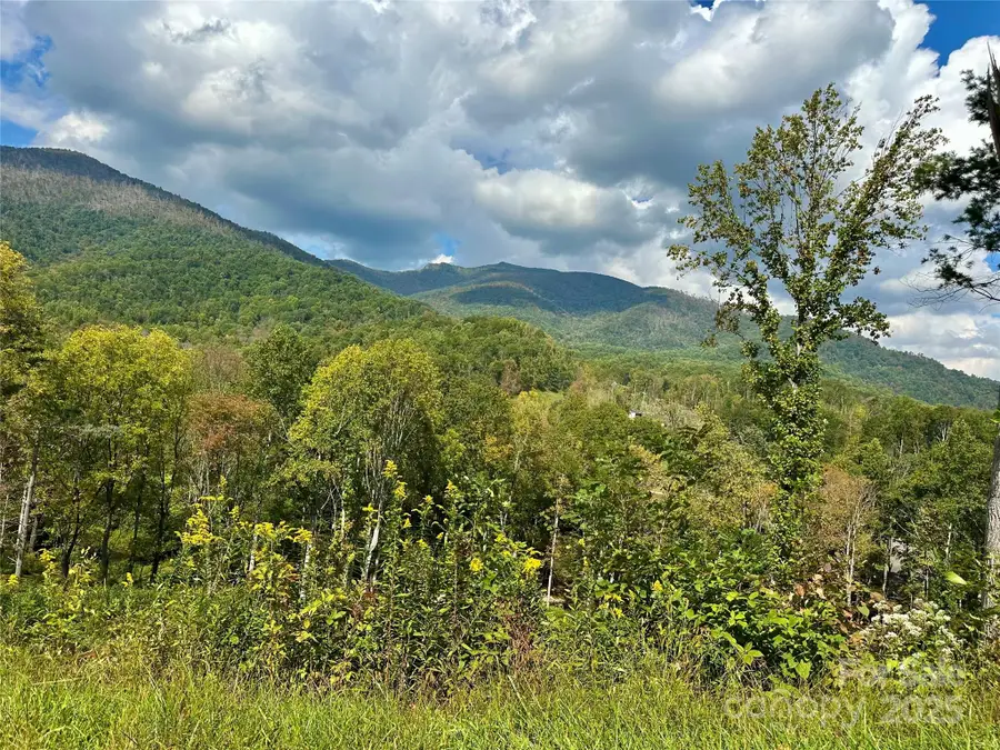 000 Pumpkin Patch Road, Bakersville, NC 28705 - Image #3