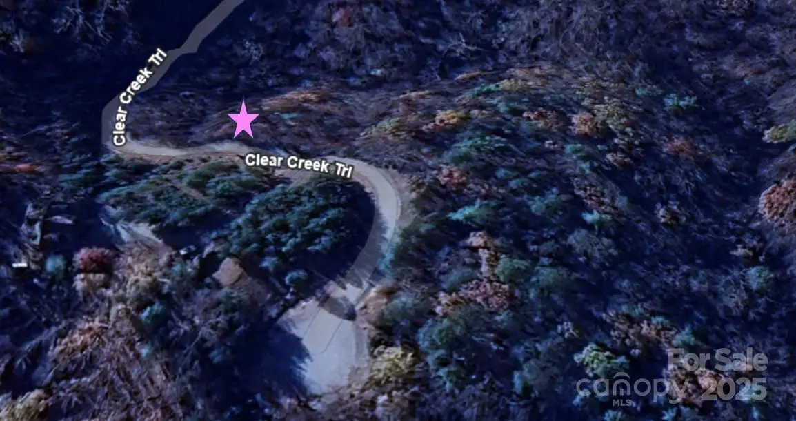 0 Clear Creek Trail #47, Lake Lure, NC 28746 - Image #1