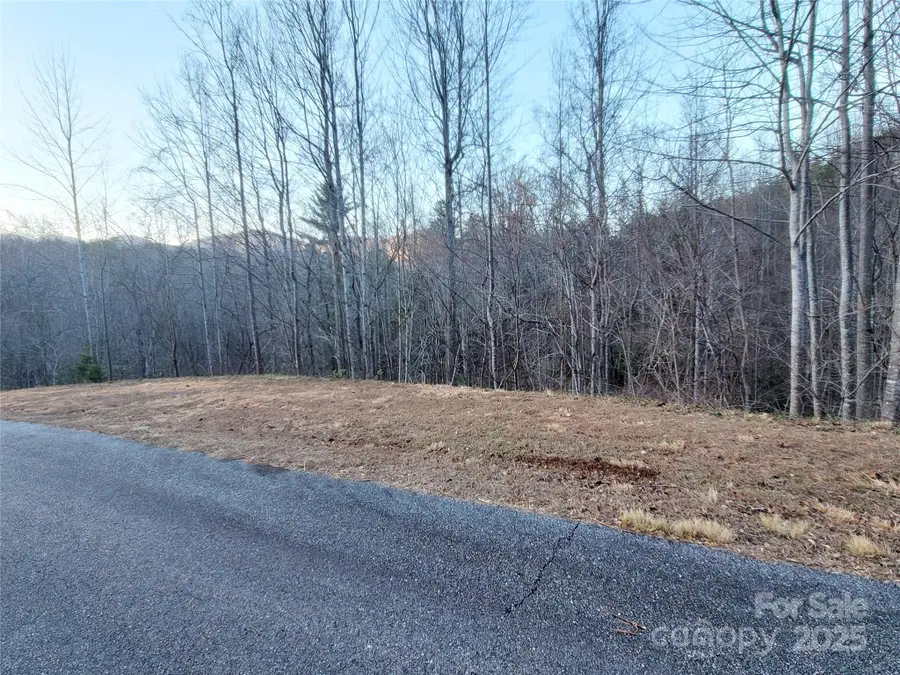 0 Clear Creek Trail #47, Lake Lure, NC 28746 - Image #3