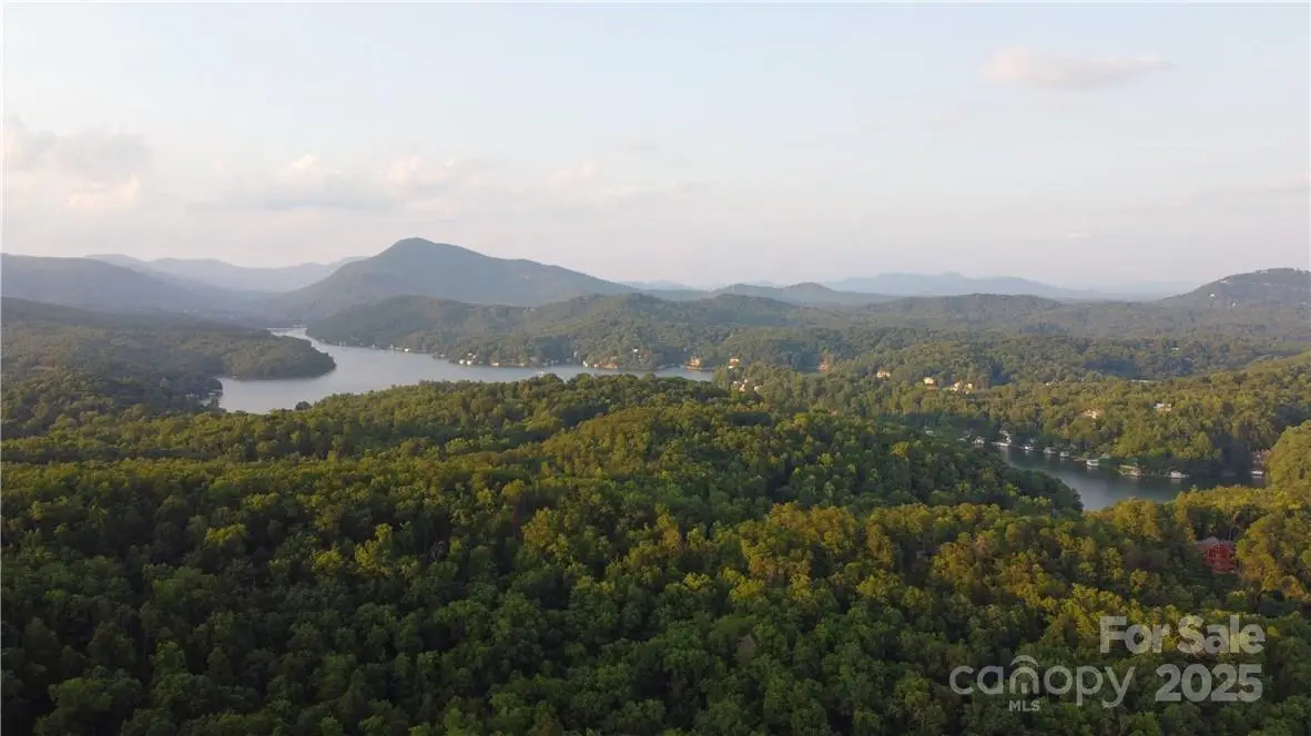 Lot 59 Bear Cliff Way, Lake Lure, NC 28746 - Image #1