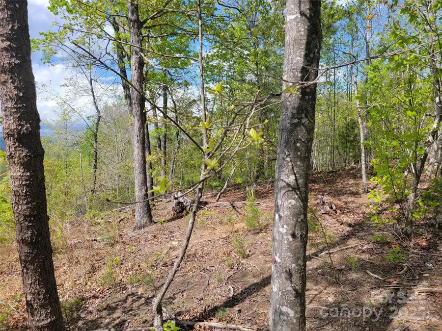 0 Shire Lane, Union Mills, NC 28167 - Image #2