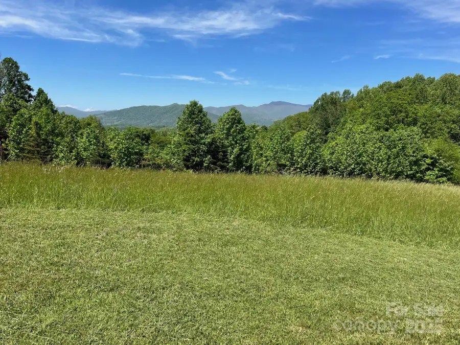 999 Chestnut Mountain Drive, Green Mountain, NC 28740 - Image #2