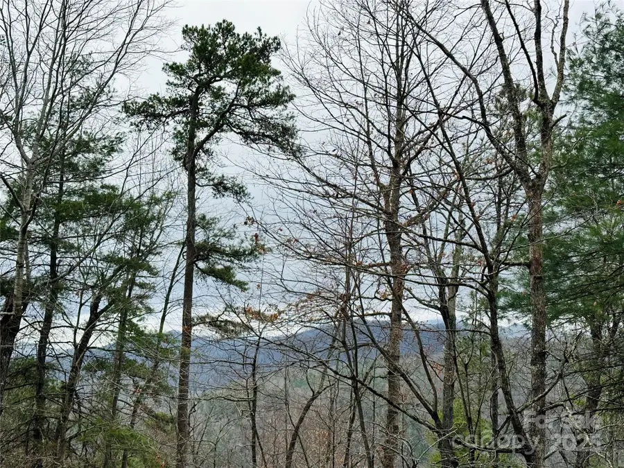 109 Longview Court #6, Marshall, NC 28753 - Image #3