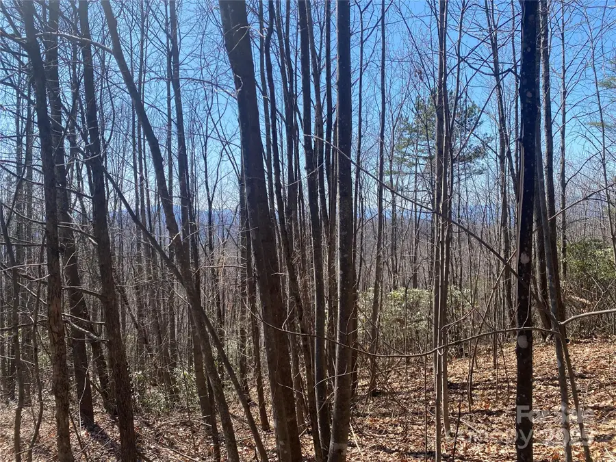 Lot 72 Mountain Crest Drive S, Marion, NC 28752 - Image #2
